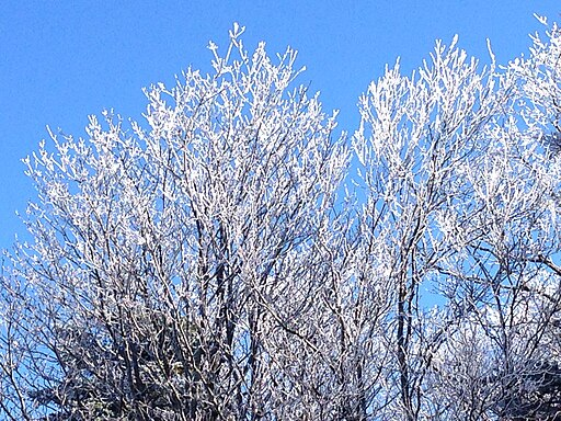 The Politics of Federal Disaster Aid